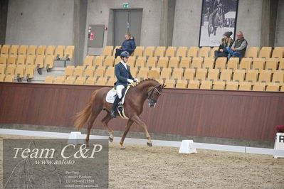 Blue Hors
1. kvl 4års heste dressur
Nøgleord: sir floresco;moises jover azuar
