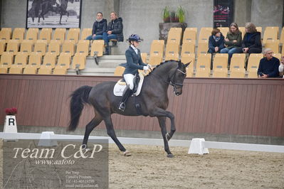 Blue Hors
1. kvl 4års heste dressur
Nøgleord: fun amour;merita hagren