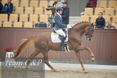 Blue Hors
1. kvl 4års heste dressur
Nøgleord: sir floresco;moises jover azuar