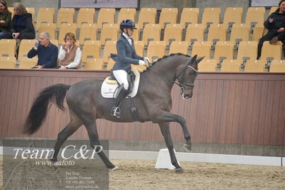 Blue Hors
1. kvl 4års heste dressur
Nøgleord: fun amour;merita hagren