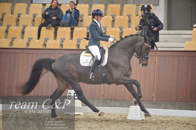 Blue Hors
1. kvl 4års heste dressur
Nøgleord: fun amour;merita hagren