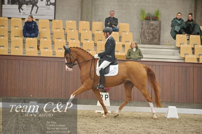 Blue Hors
1. kvl 4års heste dressur
Nøgleord: divine;jan møller christensen