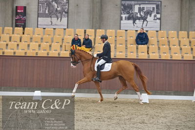 Blue Hors
1. kvl 4års heste dressur
Nøgleord: divine;jan møller christensen
