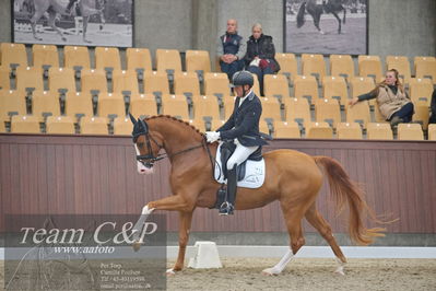 Blue Hors
1. kvl 4års heste dressur
Nøgleord: divine;jan møller christensen