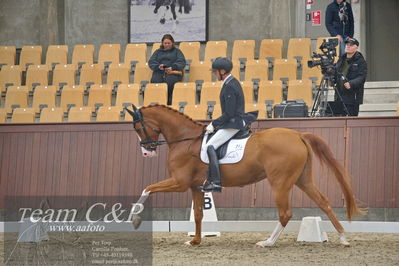 Blue Hors
1. kvl 4års heste dressur
Nøgleord: divine;jan møller christensen