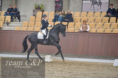 Blue Hors
1. kvl 4års heste dressur
Nøgleord: freetown;jenna högberg