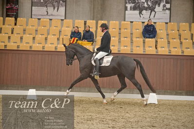 Blue Hors
1. kvl 4års heste dressur
Nøgleord: søbakkehus duffy;michael søgaard