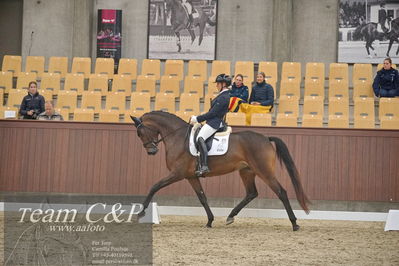 Blue Hors
1. kvl 4års heste dressur
Nøgleord: anne-marie hosbond;danesa nord