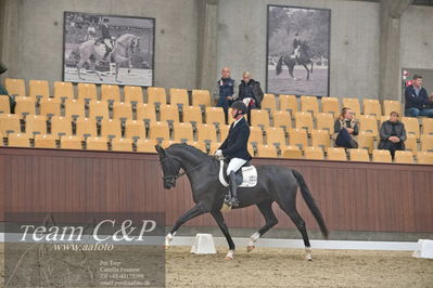 Blue Hors
1. kvl 4års heste dressur
Nøgleord: søbakkehus duffy;michael søgaard