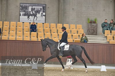 Blue Hors
1. kvl 4års heste dressur
Nøgleord: søbakkehus duffy;michael søgaard