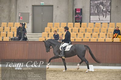 Blue Hors
1. kvl 4års heste dressur
Nøgleord: søbakkehus duffy;michael søgaard