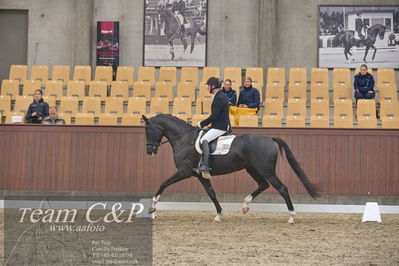 Blue Hors
1. kvl 4års heste dressur
Nøgleord: søbakkehus duffy;michael søgaard