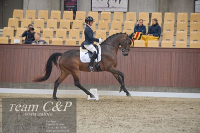Blue Hors
1. kvl 4års heste dressur
Nøgleord: anne-marie hosbond;danesa nord