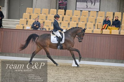 Blue Hors
1. kvl 4års heste dressur
Nøgleord: anne-marie hosbond;danesa nord