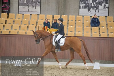 Blue Hors
1. kvl 4års heste dressur
Nøgleord: camilla ahlers pedersen;plushorses pinklady