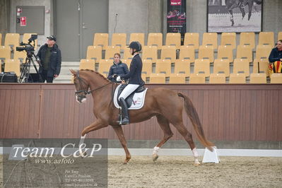 Blue Hors
1. kvl 4års heste dressur
Nøgleord: springborgs abiza;kathrine springborg