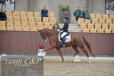 Blue Hors
1. kvl 4års heste dressur
Nøgleord: springborgs abiza;kathrine springborg