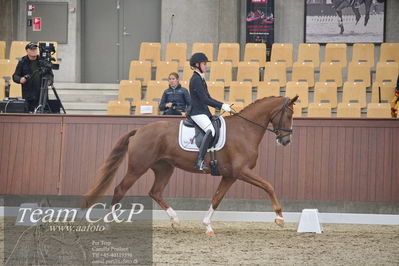 Blue Hors
1. kvl 4års heste dressur
Nøgleord: springborgs abiza;kathrine springborg
