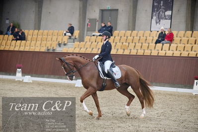 Blue Hors
1. kvl 4års heste dressur
Nøgleord: springborgs abiza;kathrine springborg