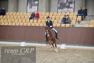 Blue Hors
1. kvl 4års heste dressur

