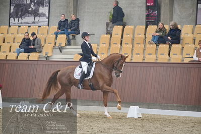 Blue Hors
1. kvl 4års heste dressur
Nøgleord: springborgs abiza;kathrine springborg