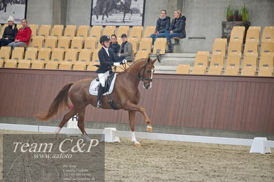 Blue Hors
1. kvl 4års heste dressur
Nøgleord: springborgs abiza;kathrine springborg