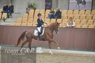 Blue Hors
1. kvl 4års heste dressur
Nøgleord: springborgs abiza;kathrine springborg