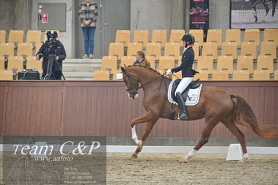 Blue Hors
1. kvl 4års heste dressur
Nøgleord: springborgs abiza;kathrine springborg