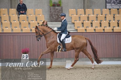 Blue Hors
1. kvl 4års heste dressur
Nøgleord: qamar;moises jover azuar