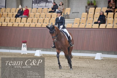 Blue Hors
1. kvl 4års heste dressur
Nøgleord: atterupgaards bonamassa;selina solberg vittinghus