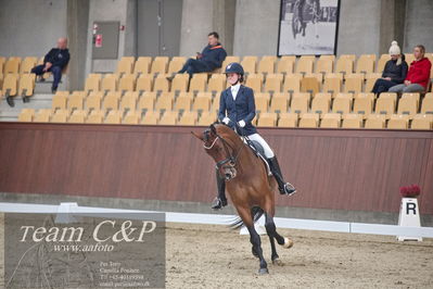 Blue Hors
1. kvl 4års heste dressur
Nøgleord: rally von rossing;simone blomme rasmussen