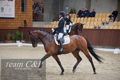 Blue Hors
1. kvl 4års heste dressur
Nøgleord: rally von rossing;simone blomme rasmussen