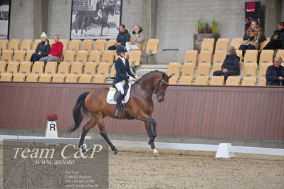 Blue Hors
1. kvl 4års heste dressur
Nøgleord: rally von rossing;simone blomme rasmussen