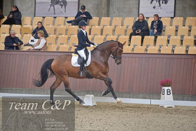 Blue Hors
1. kvl 4års heste dressur
Nøgleord: rally von rossing;simone blomme rasmussen