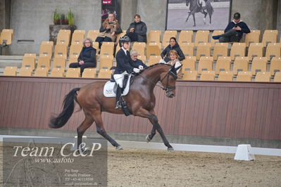 Blue Hors
1. kvl 4års heste dressur
Nøgleord: atterupgaards bonamassa;selina solberg vittinghus