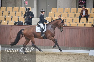 Blue Hors
1. kvl 4års heste dressur
Nøgleord: atterupgaards bonamassa;selina solberg vittinghus