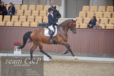 Blue Hors
1. kvl 4års heste dressur
Nøgleord: rally von rossing;simone blomme rasmussen