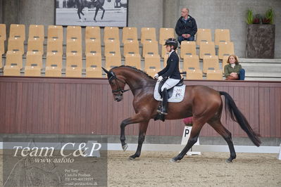 Blue Hors
1. kvl 4års heste dressur
Nøgleord: atterupgaards bonamassa;selina solberg vittinghus