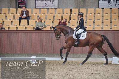 Blue Hors
1. kvl 4års heste dressur
Nøgleord: atterupgaards bonamassa;selina solberg vittinghus