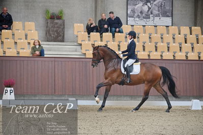 Blue Hors
1. kvl 4års heste dressur
Nøgleord: rally von rossing;simone blomme rasmussen