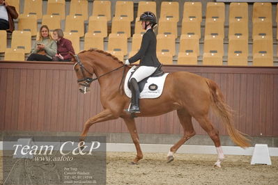 Blue Hors
1. kvl 4års heste dressur
Nøgleord: unna;josefine hoffmann