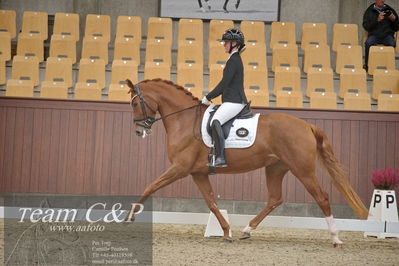 Blue Hors
1. kvl 4års heste dressur
Nøgleord: unna;josefine hoffmann