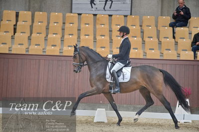 Blue Hors
1. kvl 4års heste dressur
Nøgleord: sølbakkehus maud;alan grøn