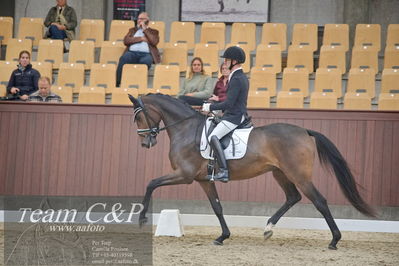 Blue Hors
1. kvl 4års heste dressur
Nøgleord: sølbakkehus maud;alan grøn