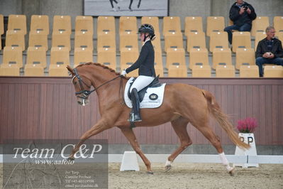 Blue Hors
1. kvl 4års heste dressur
Nøgleord: unna;josefine hoffmann