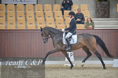 Blue Hors
1. kvl 4års heste dressur
Nøgleord: sølbakkehus maud;alan grøn