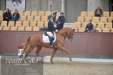 Blue Hors
1. kvl 4års heste dressur
Nøgleord: unna;josefine hoffmann