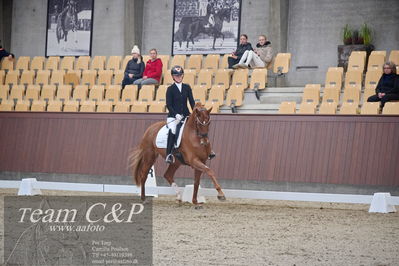 Blue Hors
1. kvl 4års heste dressur
Nøgleord: unna;josefine hoffmann