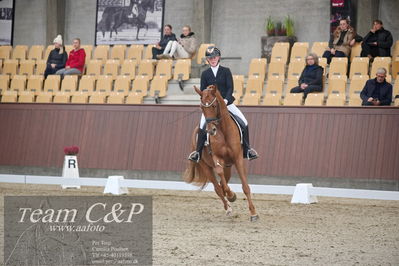 Blue Hors
1. kvl 4års heste dressur
Nøgleord: unna;josefine hoffmann