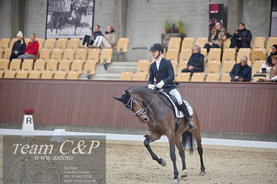 Blue Hors
1. kvl 4års heste dressur
Nøgleord: sølbakkehus maud;alan grøn